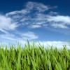 A time to sow, a time to reap A time to sow, a time to reap